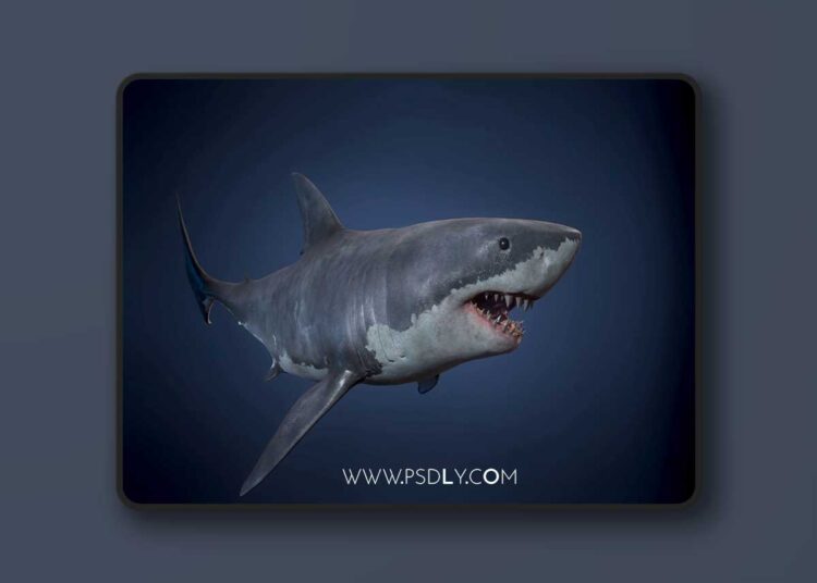 Great White Shark (5.0 – 5.7) for Unreal Engine 1 Great White Shark (5.0 – 5.7)