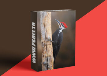 KelbyOne - Hide Your Way To Better Wildlife Photography