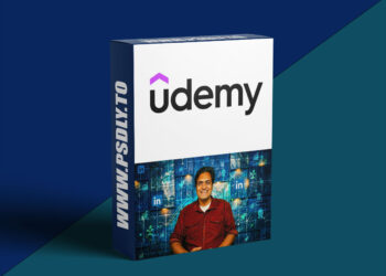 LinkedIn Growth Blueprint
