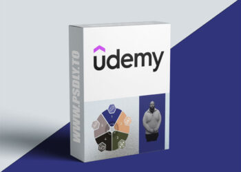 Lucrative Loyalty: Creator Economy & Sustainable Growth