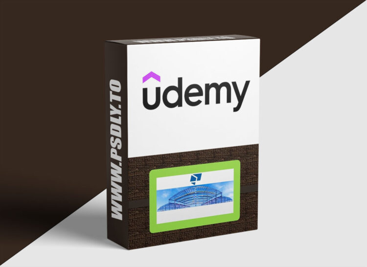Udemy – Tekla Structures Checker Course for Steel 1 Tekla Structures Checker Course for Steel