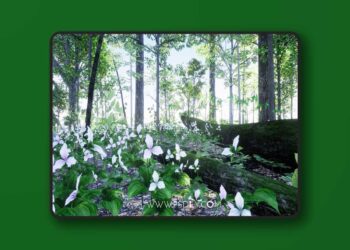35 AR VR Northeastern US Plants and Ecosystems (4.26 – 4.27 and 5.0 – 5.7)