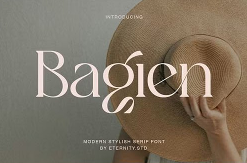 Bagien - Modern Stylish Serif Font 1 Bagien Modern Stylish Serif Font