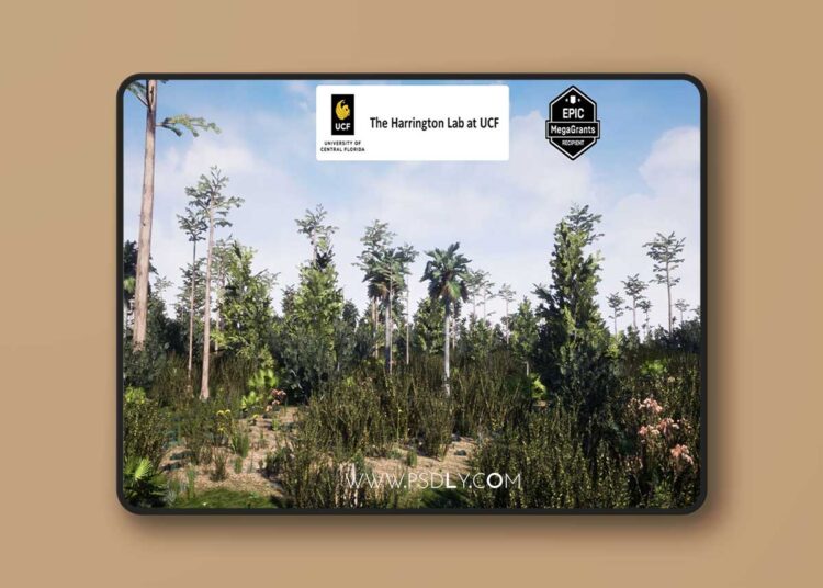 Basin Swamp Habitat Brush (4.26 – 4.27 and 5.0 – 5.7) 1 Basin Swamp Habitat Brush (4.26 – 4.27 and 5.0 – 5.7)