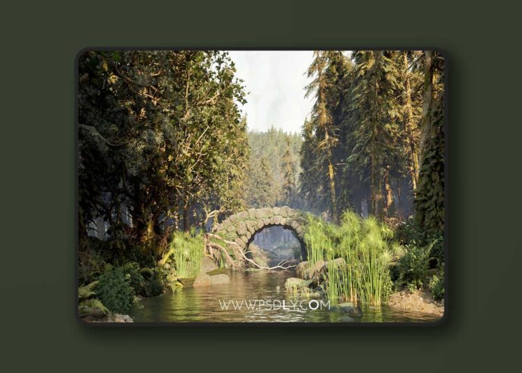 Black Forest PCG Environment (5.1 - 5.7) 1 Black Forest PCG Environment (5.1 - 5.7)