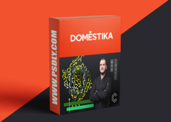 Domestika Introduction to Cavalry for Motion Graphics