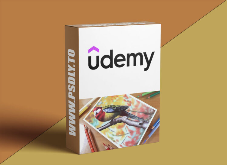 Udemy – Drawing a Bird with 12 Colors 1 Drawing a Bird with 12 Colors