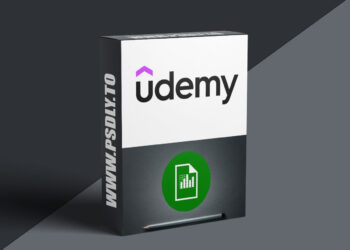 Excel Financial Modeling and Business Modeling Course