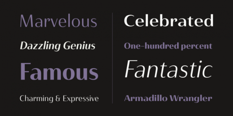 Haboro Contrast Font Family 54xOTF 1 Haboro Contrast Font Family 54xOTF