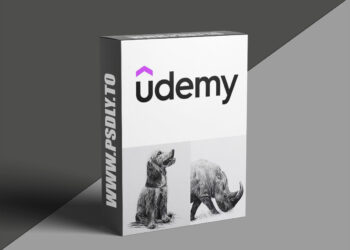 How to Draw Animals for Beginners: Simple Shapes and Shading