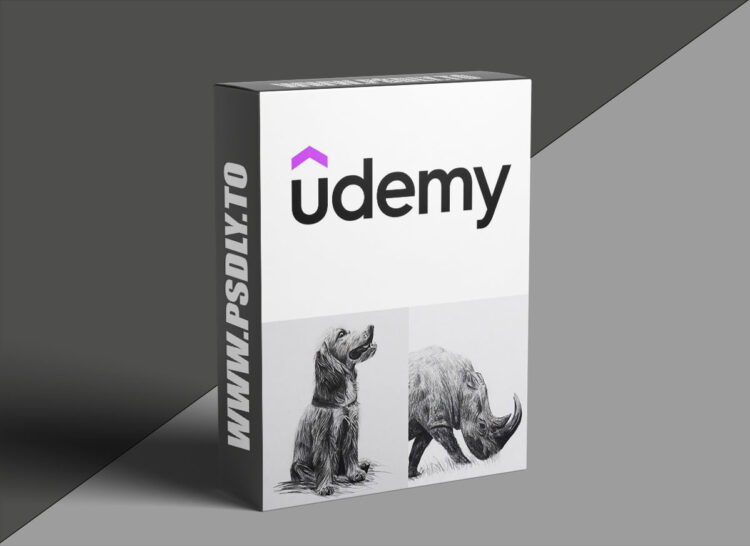 Udemy – How to Draw Animals for Beginners: Simple Shapes and Shading 1 How to Draw Animals for Beginners: Simple Shapes and Shading