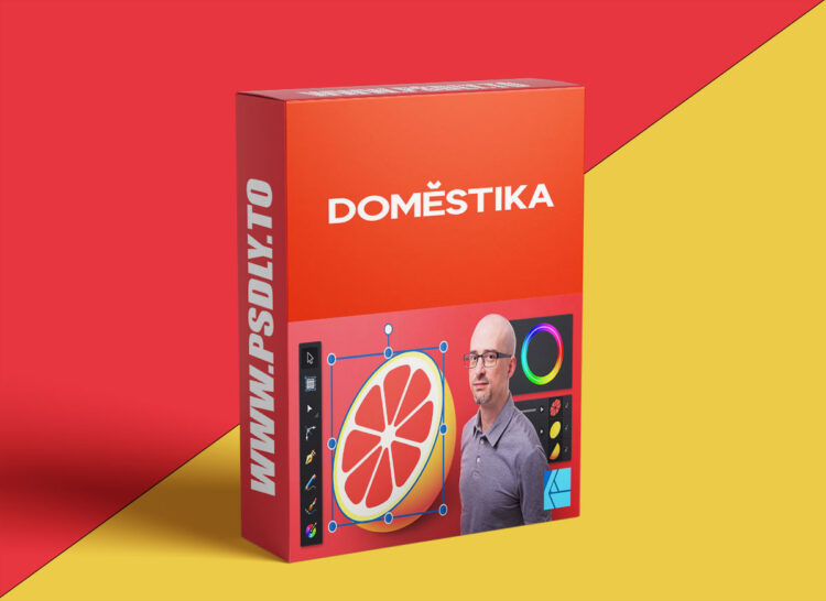 Domestika – Introduction to Affinity Designer 1 Introduction to Affinity Designer
