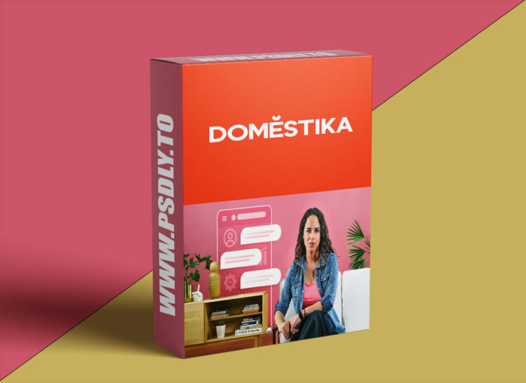 Domestika – Introduction to Community Management 1 Introduction to Community Management