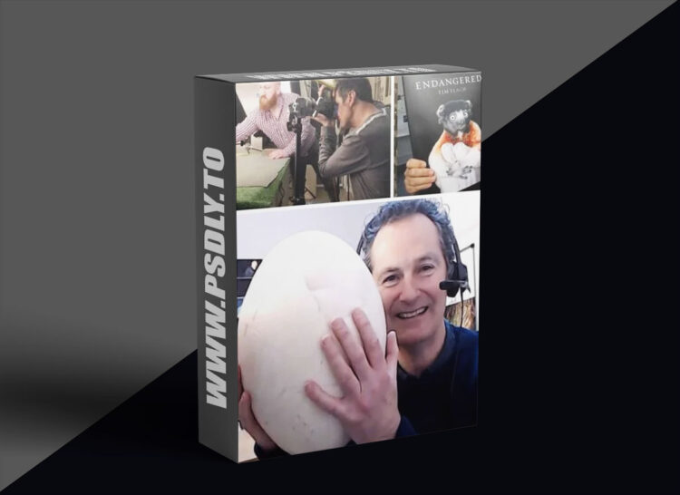 Karl Taylor - Conversations With Tim Flach Birds 1 Karl Taylor - Conversations With Tim Flach Birds