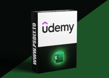 Mastering Microsoft Excel and Visual Basic