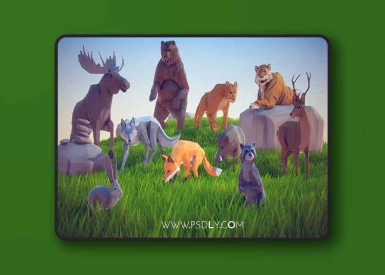 Poly Art: Animal Forest Set (5.2 – 5.7) 1 Poly Art: Animal Forest Set (5.2 – 5.7)