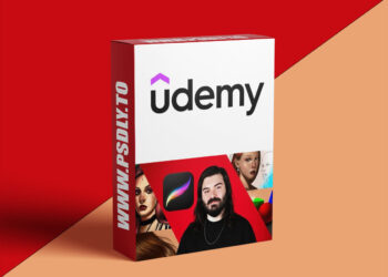 Procreate: Essential Foundations for Digital Illustration