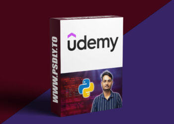 Python Basics Mastery: Core Concepts