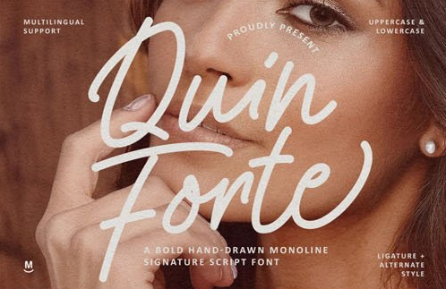 Quin Forte - Hand-drawn Monoline Signature Script Font 1 Quin Forte Hand drawn Monoline Signature Script Font 1