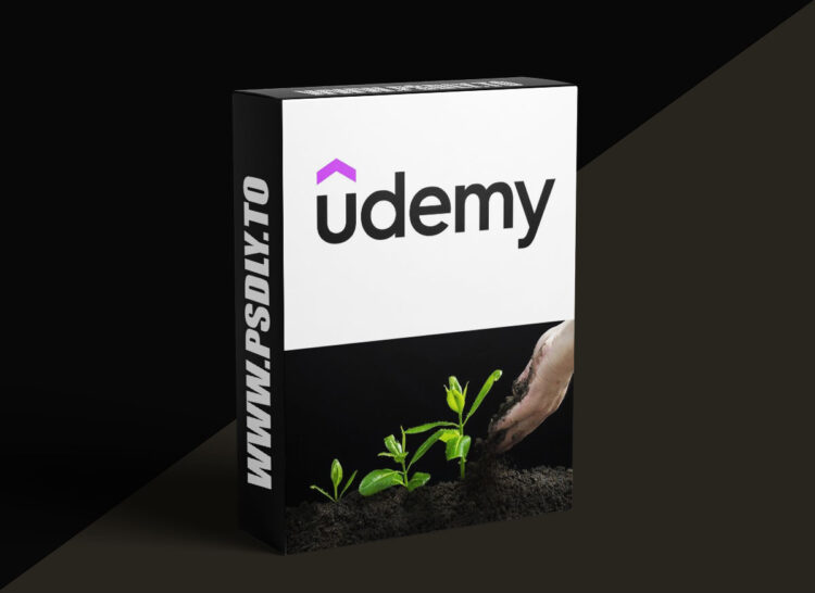 Udemy – Scaling Nonprofit Programs: Strategic Growth & Impact 1 Scaling Nonprofit Programs: Strategic Growth & Impact