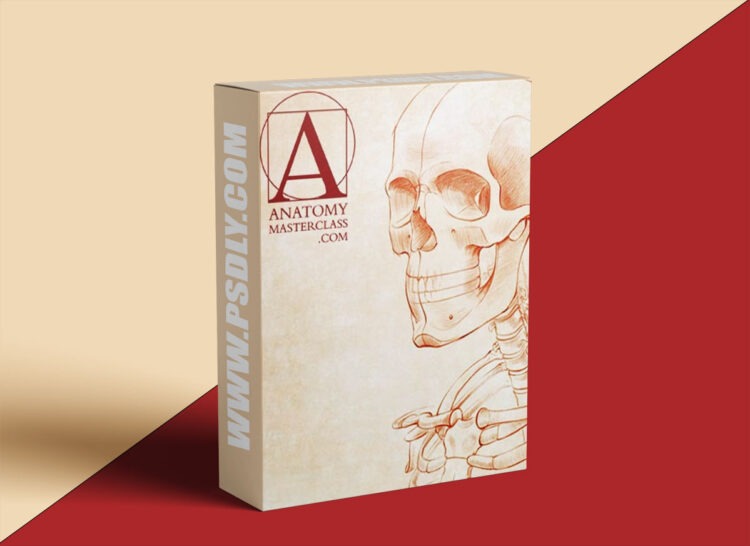 Anatomymasterclass – Anatomy for Artists 1 Anatomymasterclass – Anatomy for Artists