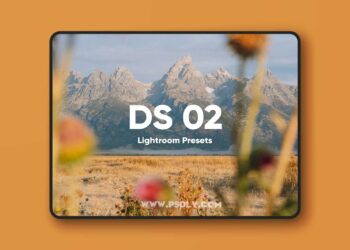 Dylan Spitz DS PRESETS 02
