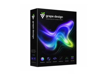 Grape Design Bundle 2026.05.25