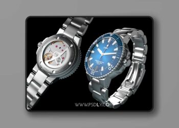 High End Luxury Watch (4.27, 5.0 - 5.7)