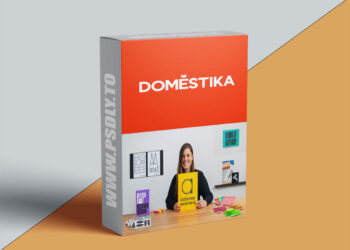 Meaningful Visual Identity Design: From Brief to Pitch