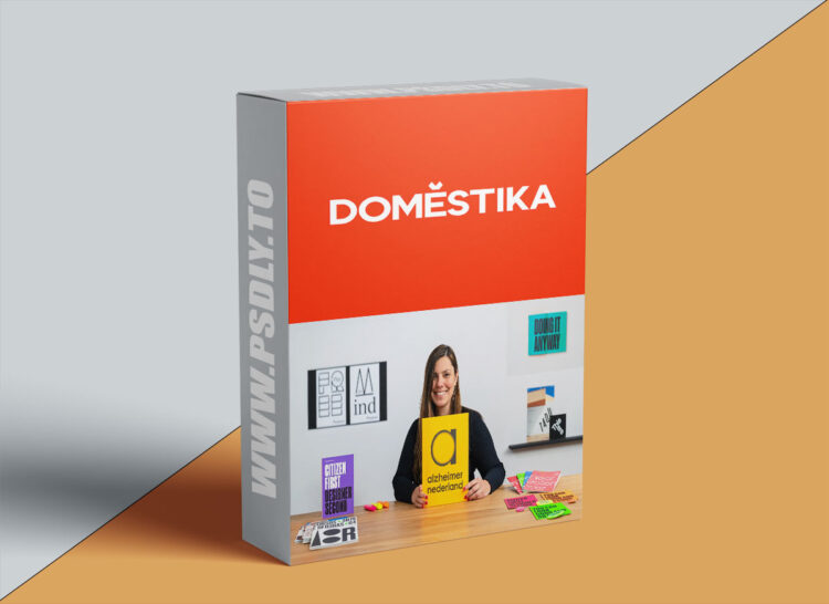 Domestika – Meaningful Visual Identity Design: From Brief to Pitch 1 Meaningful Visual Identity Design: From Brief to Pitch