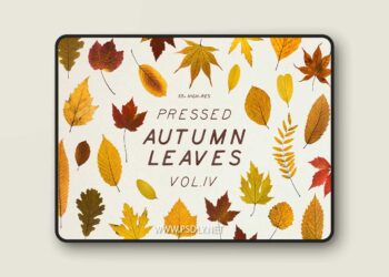 Pressed Autumn Leaves Vol.4 PNG 4244602