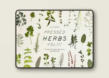 Pressed Dry Herbs Vol.3 PNG 4117917