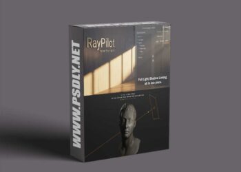 Raypilot v1.0.8