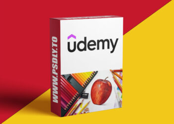 Realistic Drawings With Colored Pencils: A Beginner's Guide