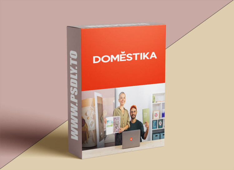 Domestika – Risograph Technique: Design a Self-published Editorial Project 1 Risograph Technique: Design a Self-published Editorial Project