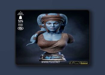 SW3D – Aayla Secura Portrait Bust – 3D Print Model STL
