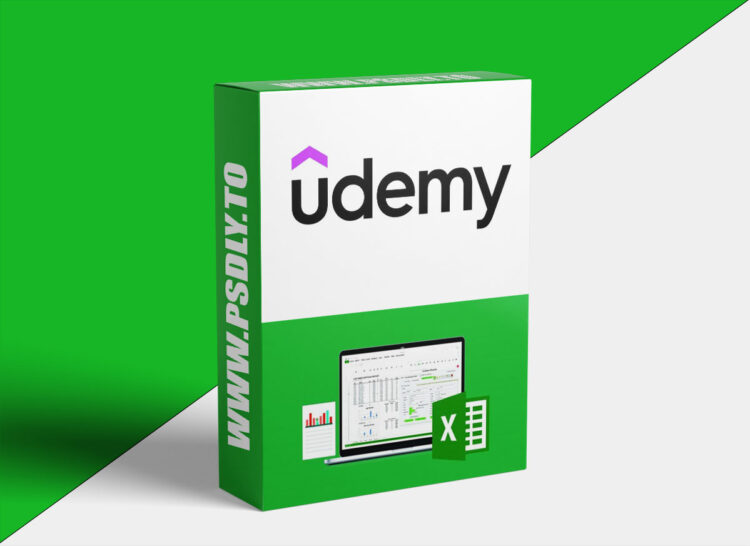 Udemy – The Ultimate Excel Programmer Course 1 The Ultimate Excel Programmer Course