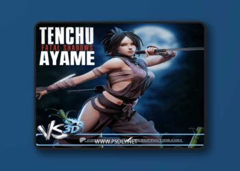 VS3D – Ayame – Tenchu Fatal Shadows Tenchu Kurenai – 3D Print Model