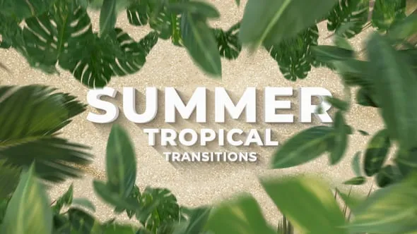 Videohive - Summer Travel Tropical Palm Leaf Transitions - 62738683 1 Videohive Summer Travel Tropical Palm Leaf Transitions 62738683