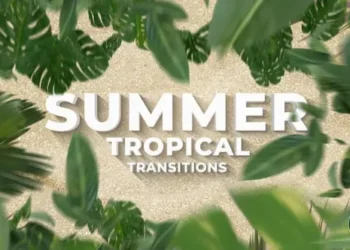Videohive Summer Travel Tropical Palm Leaf Transitions Davinci Resolve 63575707