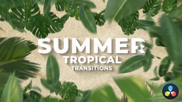 Videohive - Summer Travel Tropical Palm Leaf Transitions Davinci Resolve - 63575707 1 Videohive Summer Travel Tropical Palm Leaf Transitions Davinci Resolve 63575707