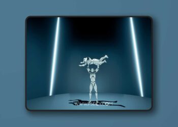 Wrestler Finishers Volume 1 (4.27 and 5.0 – 5.7)