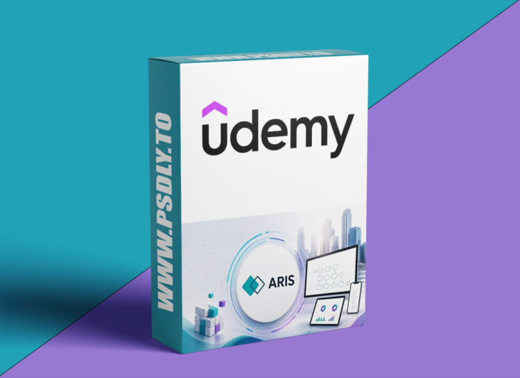 Udemy – ARIS Masterclass - Process Modelling & BPM 1 ARIS Masterclass - Process Modelling & BPM