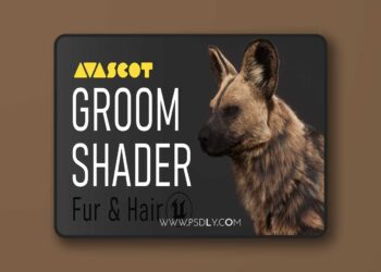 AVASCOT Groom Shader - Hair & Fur (5.7)