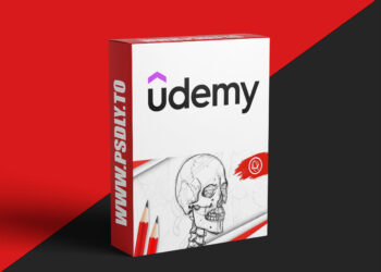 Anatomy Art School: Drawing the Human Form