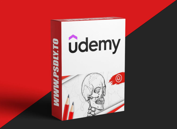 Udemy – Anatomy Art School: Drawing the Human Form 1 Anatomy Art School: Drawing the Human Form