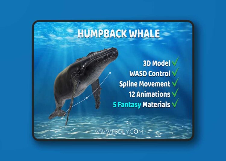 Animated Humpback Whale (5.3 – 5.7) for Unreal Engine 1 Animated Humpback Whale (5.3 – 5.7)