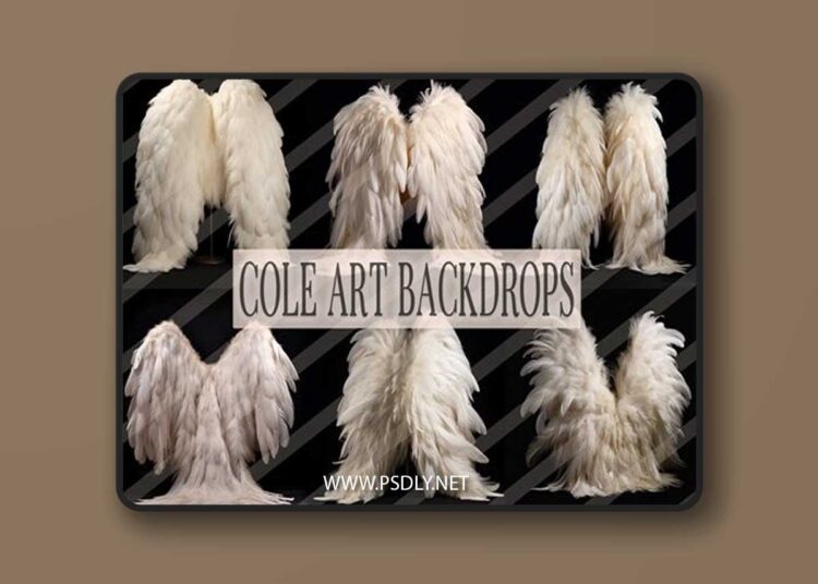 Cole Art Backdrops - White Fluffy Angel Wings Overlays 1 Cole Art Backdrops White Fluffy Angel Wings Overlays