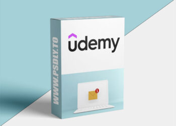 Email Marketing Fundamentals: A Beginner's Guide