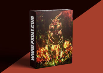 Fast Campus – Motion Graphics New Paradigm